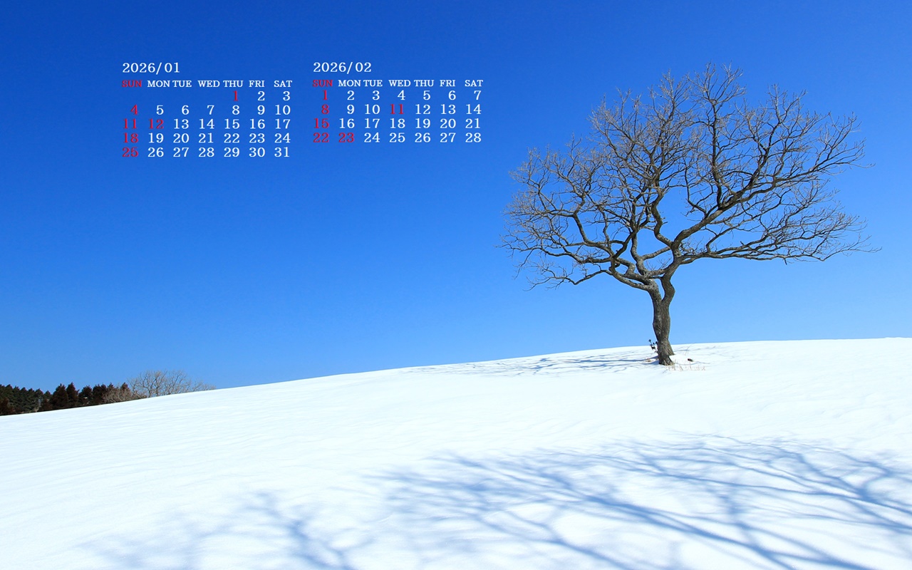 �摜�̏�ŉE�N���b�N���āu�ǎ��ɐݒ�v�A���j���[�ɂȂ��ꍇ�͂�������摜��ۑ����ĉ������B