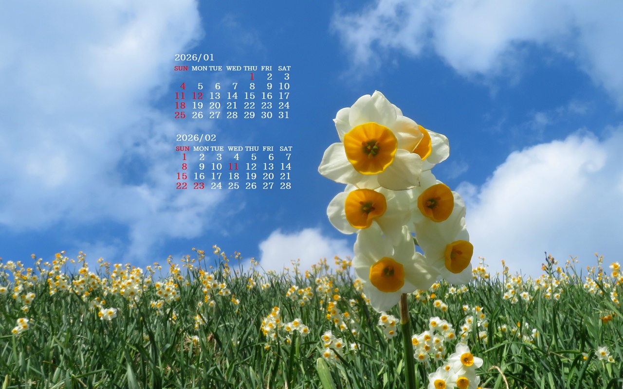 �摜�̏�ŉE�N���b�N���āu�ǎ��ɐݒ�v�A���j���[�ɂȂ��ꍇ�͂�������摜��ۑ����ĉ������B