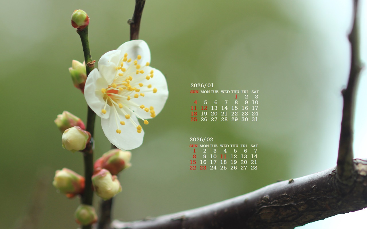 �摜�̏�ŉE�N���b�N���āu�ǎ��ɐݒ�v�A���j���[�ɂȂ��ꍇ�͂�������摜��ۑ����ĉ������B