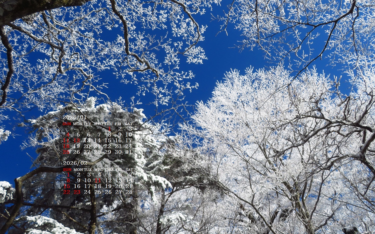 �摜�̏�ŉE�N���b�N���āu�ǎ��ɐݒ�v�A���j���[�ɂȂ��ꍇ�͂�������摜��ۑ����ĉ������B