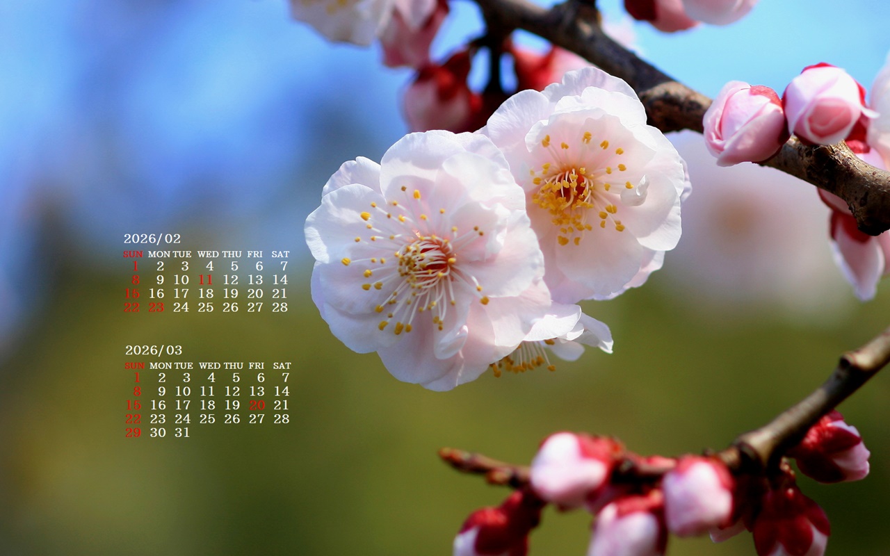 �摜�̏�ŉE�N���b�N���āu�ǎ��ɐݒ�v�A���j���[�ɂȂ��ꍇ�͂�������摜��ۑ����ĉ������B