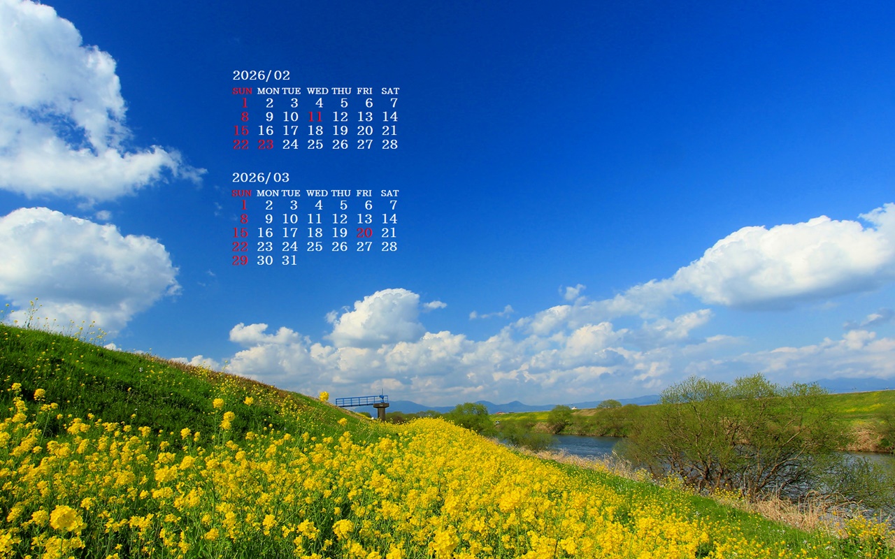 �摜�̏�ŉE�N���b�N���āu�ǎ��ɐݒ�v�A���j���[�ɂȂ��ꍇ�͂�������摜��ۑ����ĉ������B