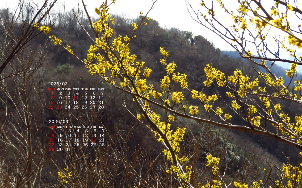 �摜�̏�ŉE�N���b�N���āu�ǎ��ɐݒ�v�A���j���[�ɂȂ��ꍇ�͂�������摜��ۑ����ĉ������B