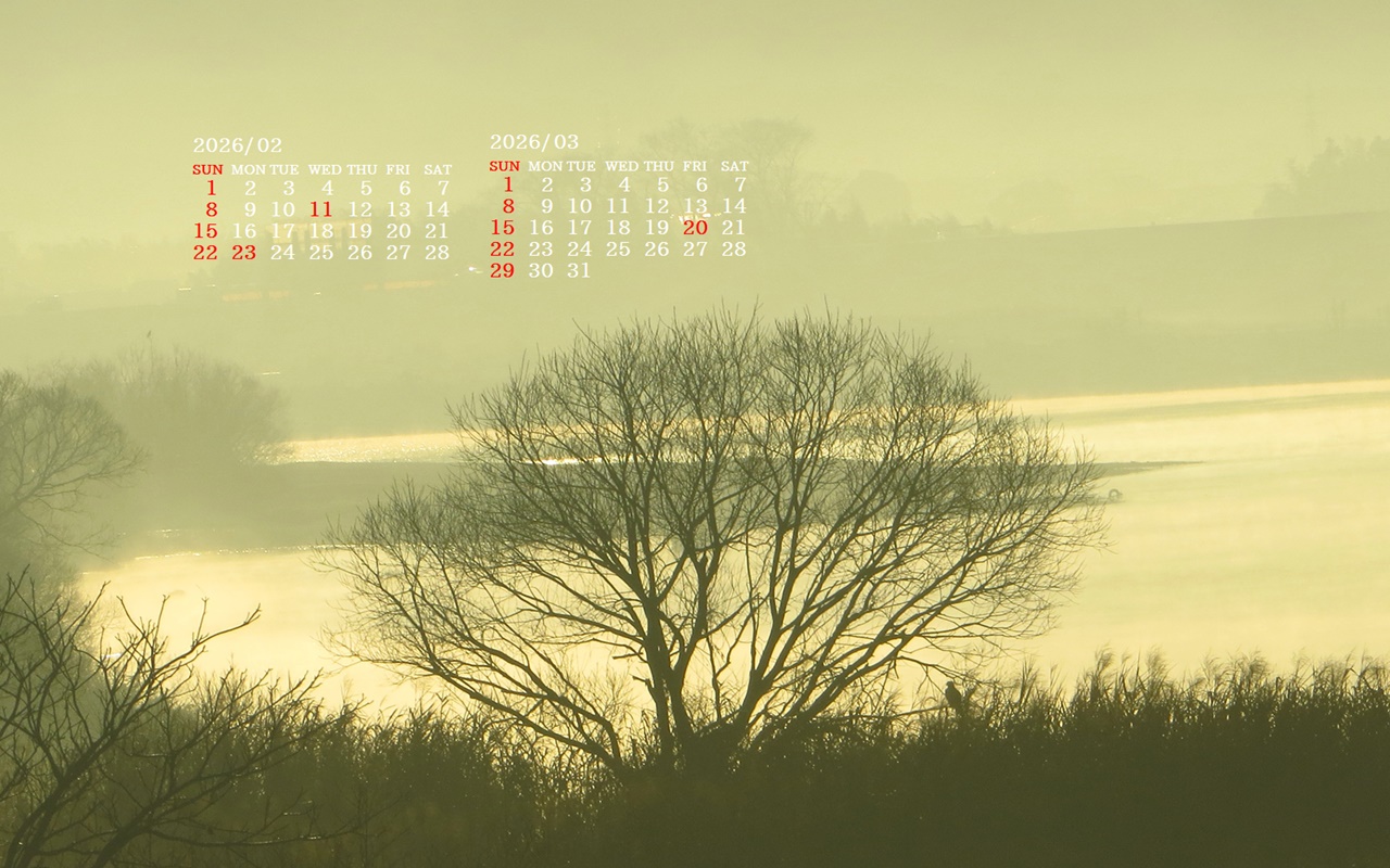 �摜�̏�ŉE�N���b�N���āu�ǎ��ɐݒ�v�A���j���[�ɂȂ��ꍇ�͂�������摜��ۑ����ĉ������B