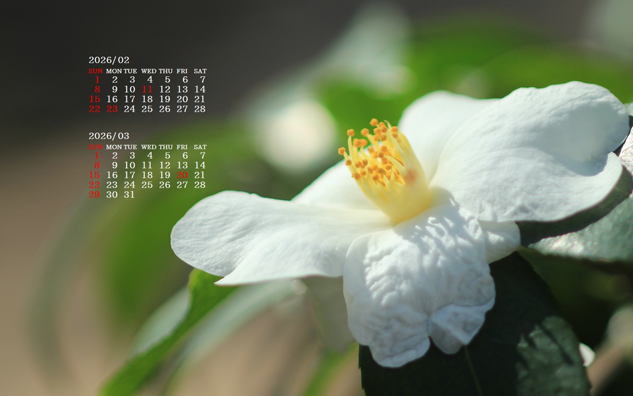 �摜�̏�ŉE�N���b�N���āu�ǎ��ɐݒ�v�A���j���[�ɂȂ��ꍇ�͂�������摜��ۑ����ĉ������B