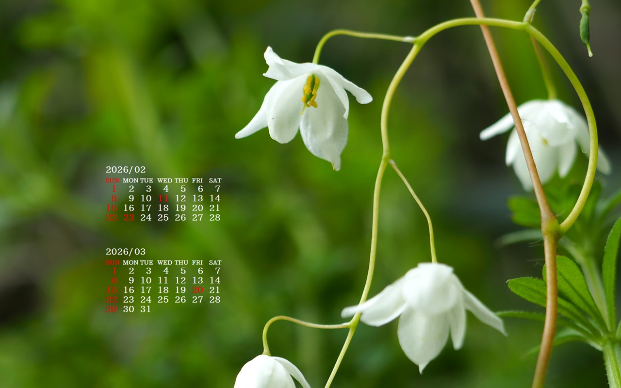 �摜�̏�ŉE�N���b�N���āu�ǎ��ɐݒ�v�A���j���[�ɂȂ��ꍇ�͂�������摜��ۑ����ĉ������B