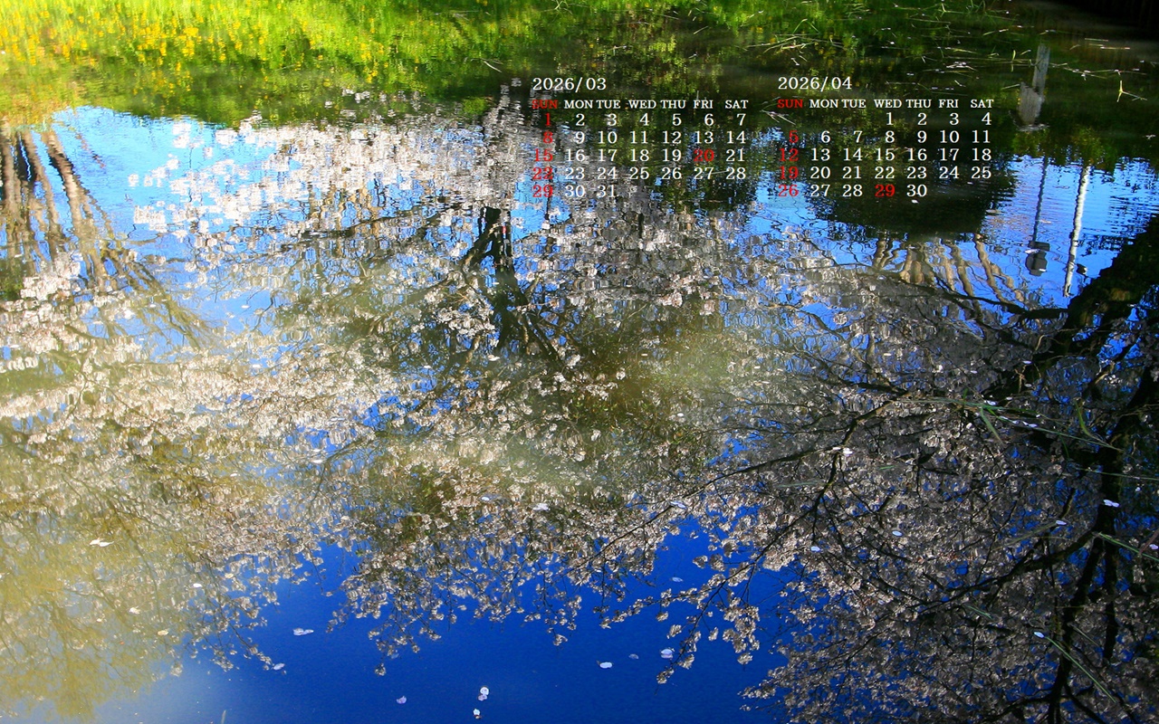 �摜�̏�ŉE�N���b�N���āu�ǎ��ɐݒ�v�A���j���[�ɂȂ��ꍇ�͂�������摜��ۑ����ĉ������B