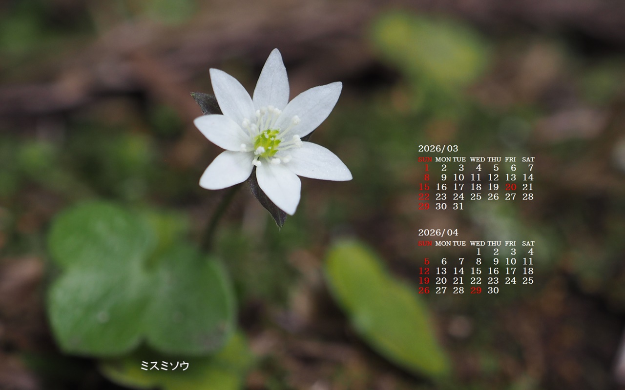 �摜�̏�ŉE�N���b�N���āu�ǎ��ɐݒ�v�A���j���[�ɂȂ��ꍇ�͂�������摜��ۑ����ĉ������B