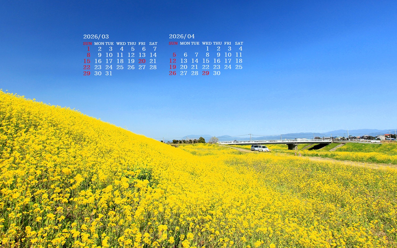 �摜�̏�ŉE�N���b�N���āu�ǎ��ɐݒ�v�A���j���[�ɂȂ��ꍇ�͂�������摜��ۑ����ĉ������B