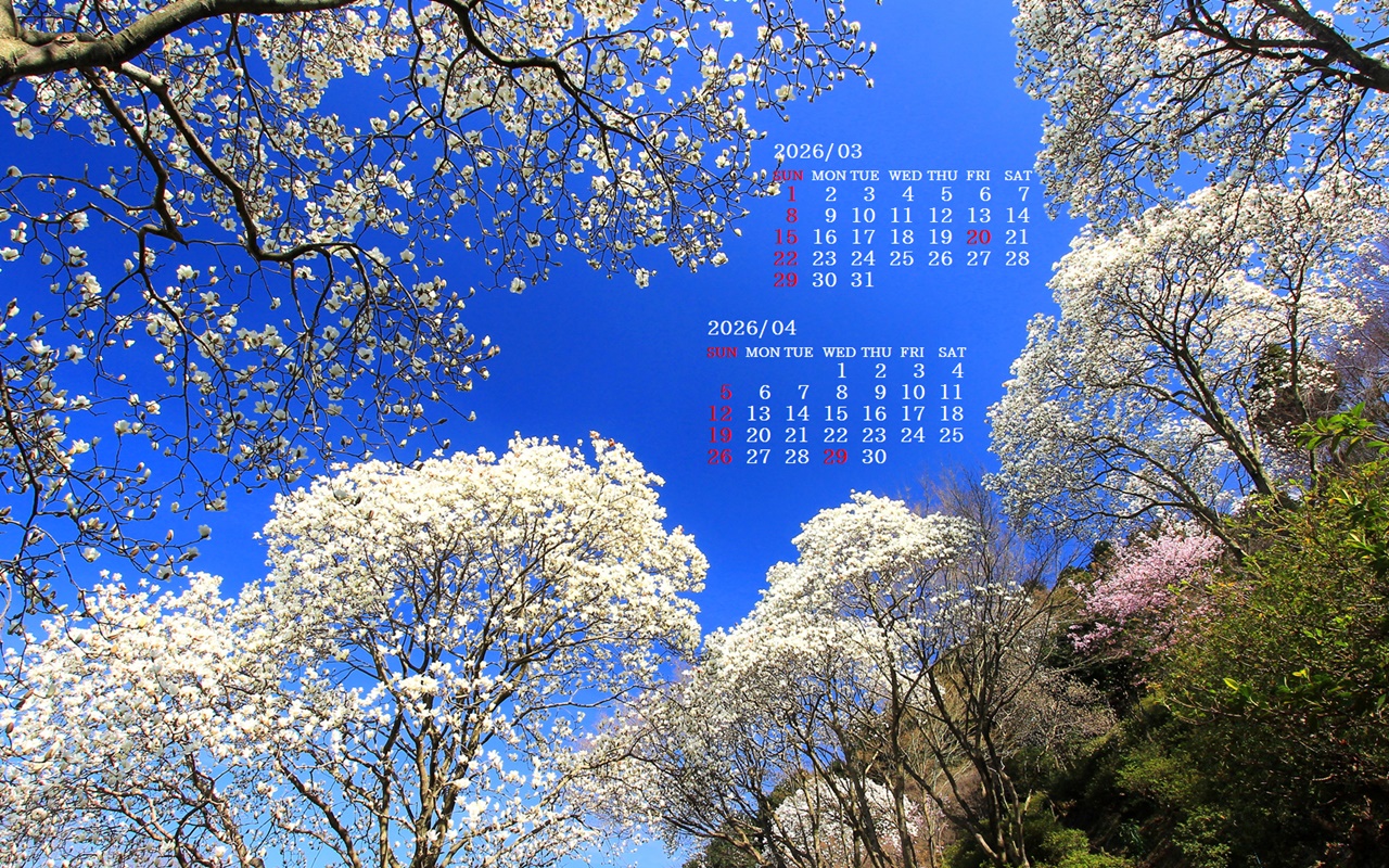 �摜�̏�ŉE�N���b�N���āu�ǎ��ɐݒ�v�A���j���[�ɂȂ��ꍇ�͂�������摜��ۑ����ĉ������B