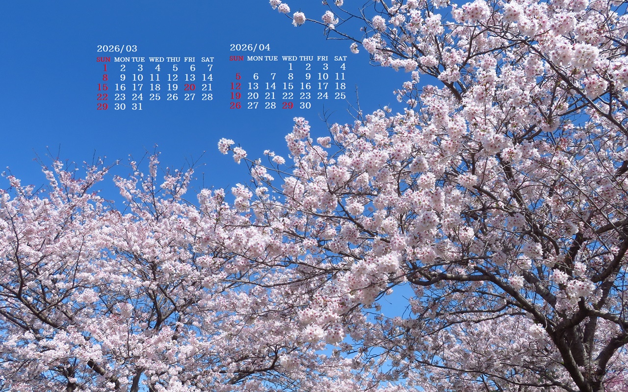 �摜�̏�ŉE�N���b�N���āu�ǎ��ɐݒ�v�A���j���[�ɂȂ��ꍇ�͂�������摜��ۑ����ĉ������B