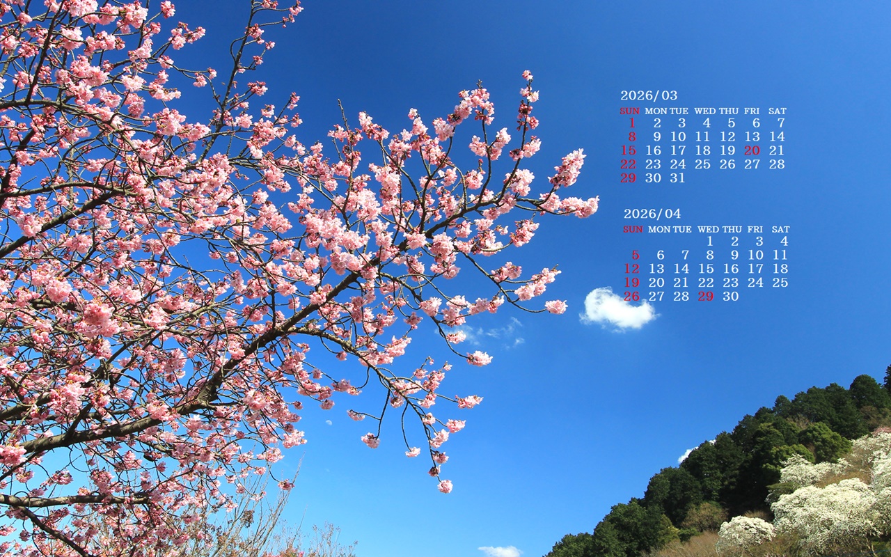 �摜�̏�ŉE�N���b�N���āu�ǎ��ɐݒ�v�A���j���[�ɂȂ��ꍇ�͂�������摜��ۑ����ĉ������B