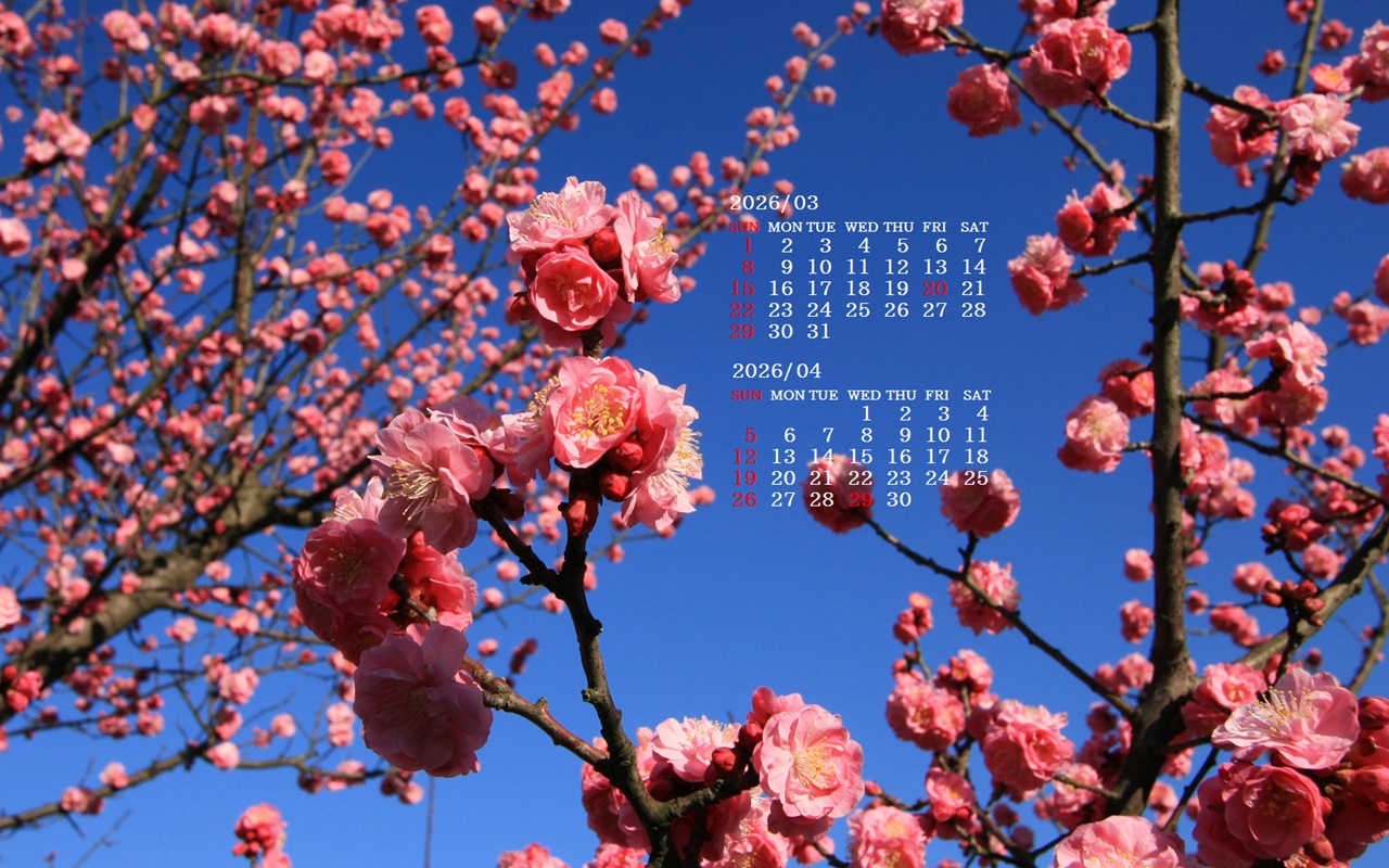 �摜�̏�ŉE�N���b�N���āu�ǎ��ɐݒ�v�A���j���[�ɂȂ��ꍇ�͂�������摜��ۑ����ĉ������B