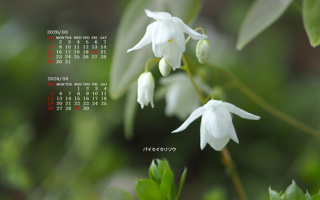 �摜�̏�ŉE�N���b�N���āu�ǎ��ɐݒ�v�A���j���[�ɂȂ��ꍇ�͂�������摜��ۑ����ĉ������B