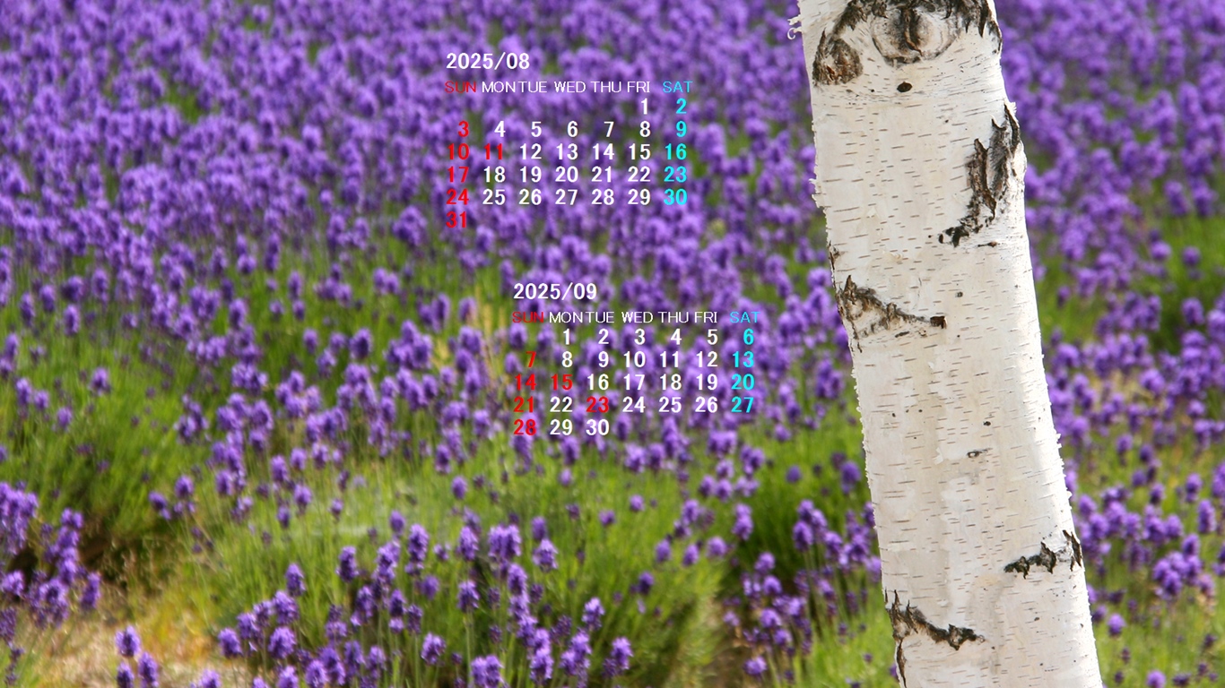 摜̏ŉENbNāuǎɐݒvAj[ɂȂꍇ͂摜ۑĉB