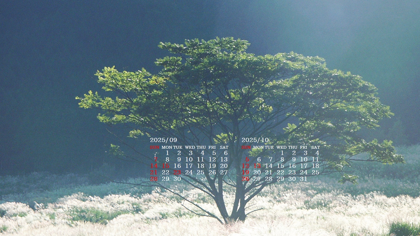 摜̏ŉENbNāuǎɐݒvAj[ɂȂꍇ͂摜ۑĉB