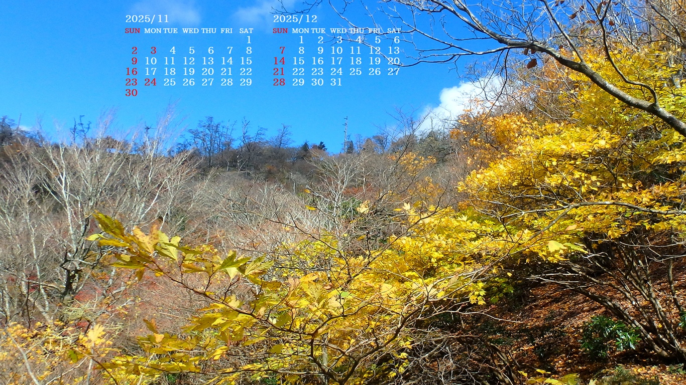 摜̏ŉENbNāuǎɐݒvAj[ɂȂꍇ͂摜ۑĉB