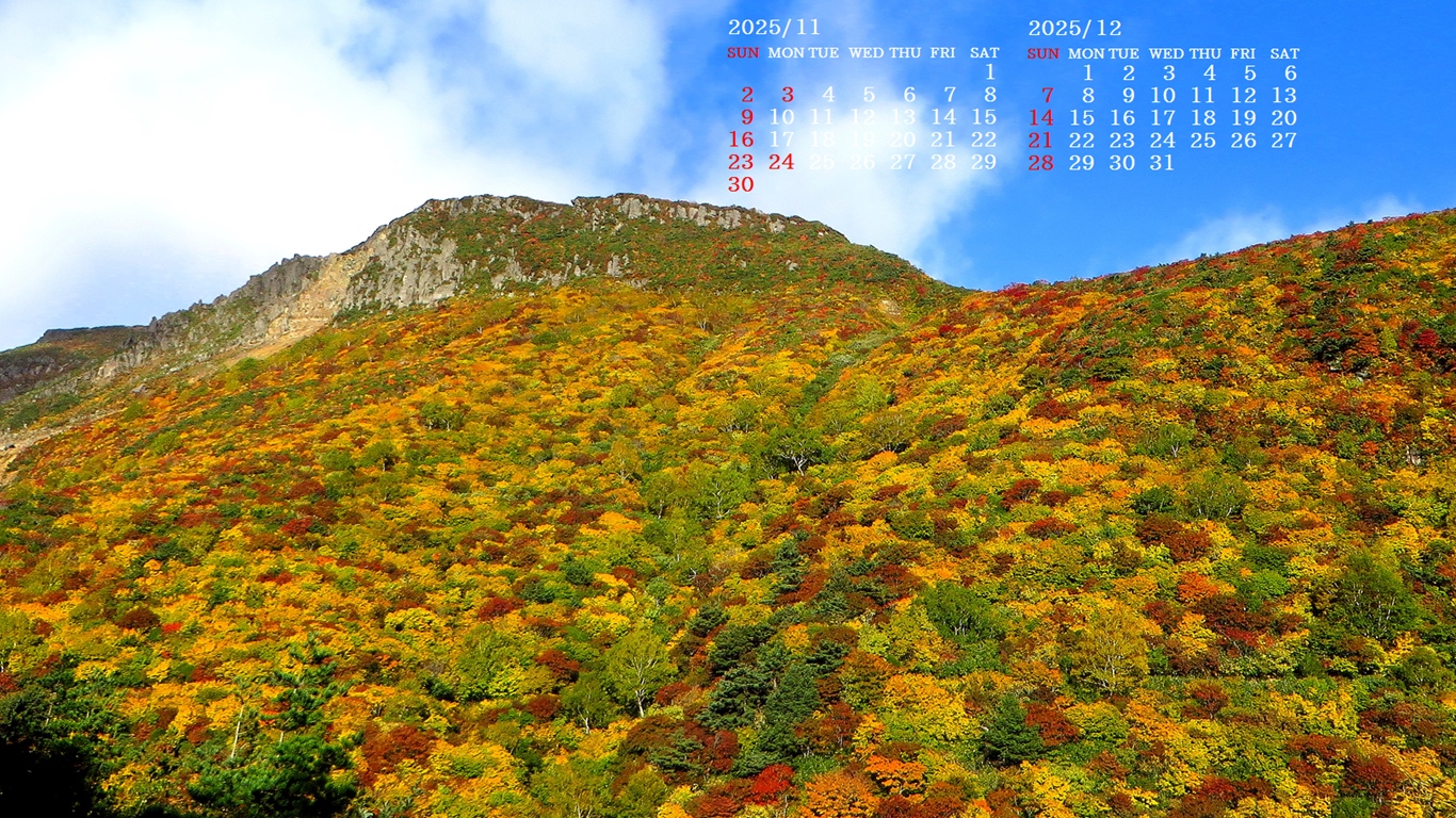 摜̏ŉENbNāuǎɐݒvAj[ɂȂꍇ͂摜ۑĉB