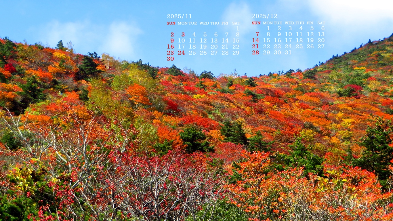 摜̏ŉENbNāuǎɐݒvAj[ɂȂꍇ͂摜ۑĉB