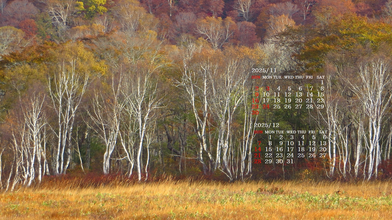 摜̏ŉENbNāuǎɐݒvAj[ɂȂꍇ͂摜ۑĉB