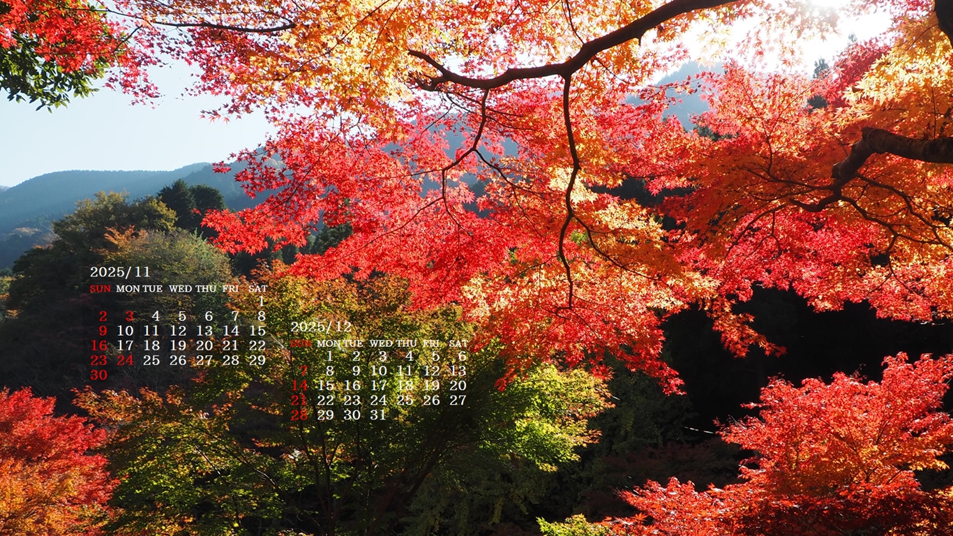 摜̏ŉENbNāuǎɐݒvAj[ɂȂꍇ͂摜ۑĉB