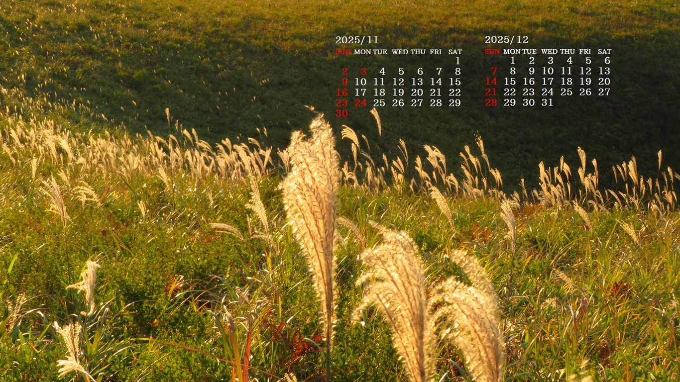 摜̏ŉENbNāuǎɐݒvAj[ɂȂꍇ͂摜ۑĉB