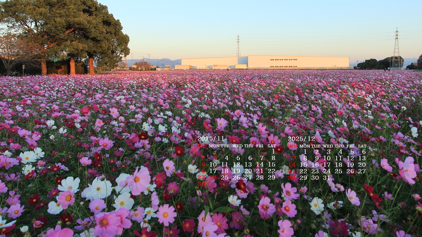 摜̏ŉENbNāuǎɐݒvAj[ɂȂꍇ͂摜ۑĉB