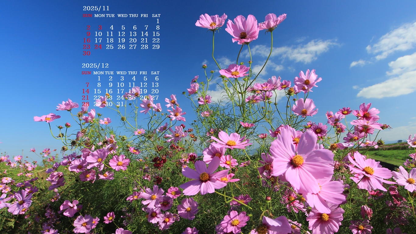 摜̏ŉENbNāuǎɐݒvAj[ɂȂꍇ͂摜ۑĉB