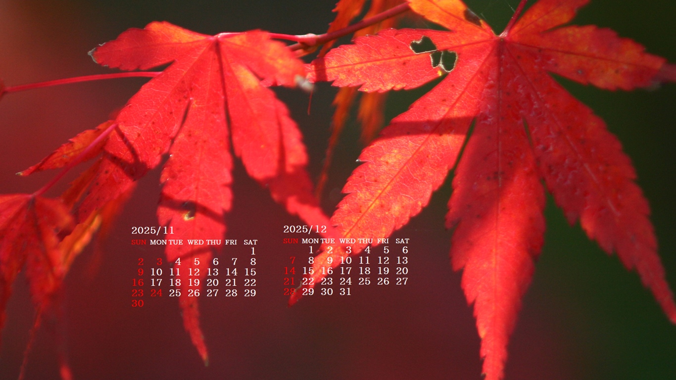 摜̏ŉENbNāuǎɐݒvAj[ɂȂꍇ͂摜ۑĉB