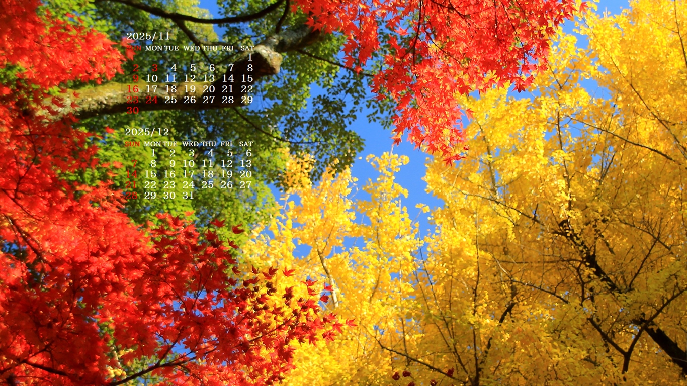 摜̏ŉENbNāuǎɐݒvAj[ɂȂꍇ͂摜ۑĉB