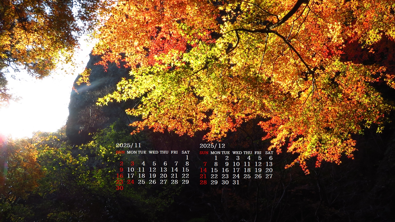 摜̏ŉENbNāuǎɐݒvAj[ɂȂꍇ͂摜ۑĉB