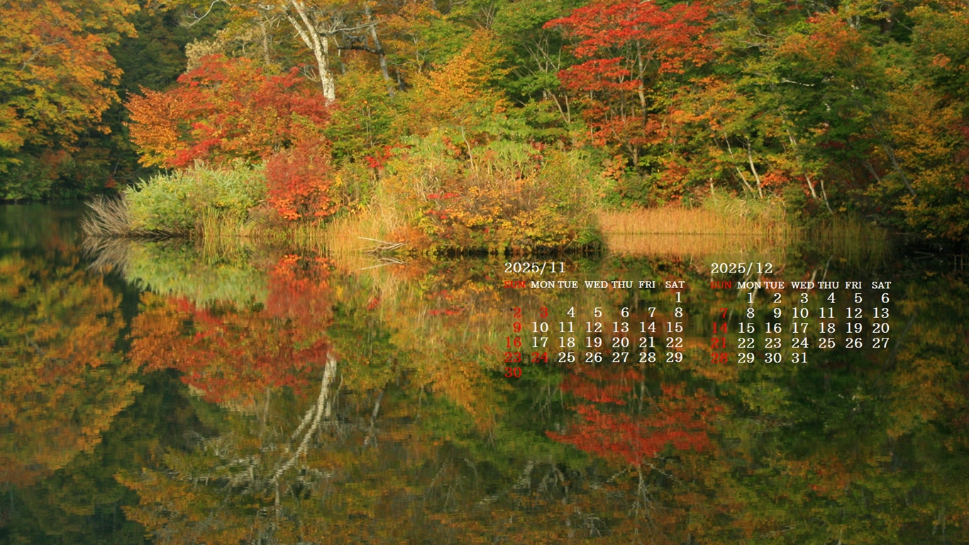 摜̏ŉENbNāuǎɐݒvAj[ɂȂꍇ͂摜ۑĉB