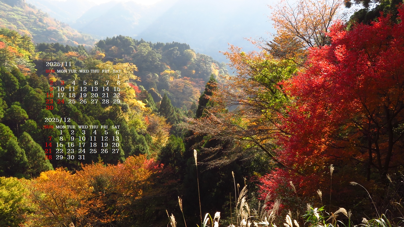 摜̏ŉENbNāuǎɐݒvAj[ɂȂꍇ͂摜ۑĉB