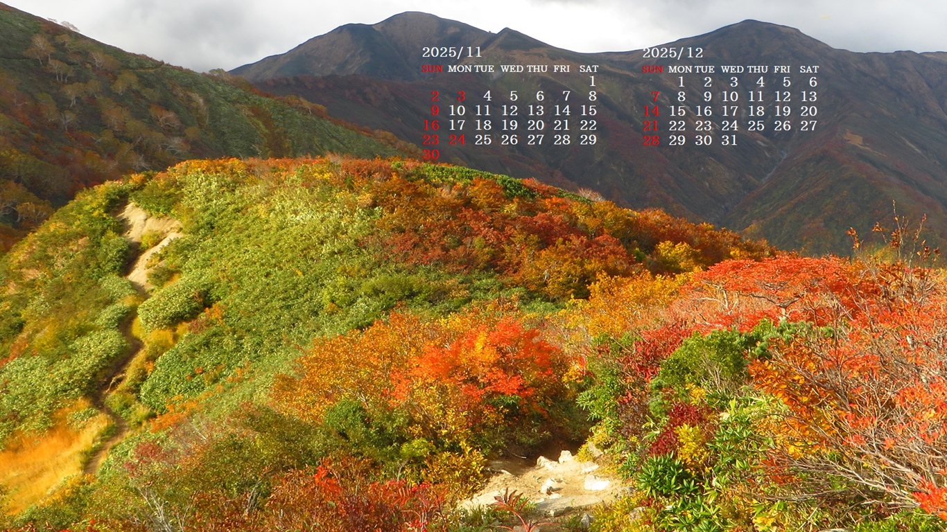 摜̏ŉENbNāuǎɐݒvAj[ɂȂꍇ͂摜ۑĉB