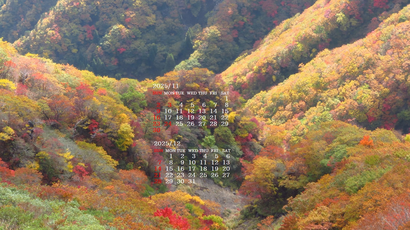 摜̏ŉENbNāuǎɐݒvAj[ɂȂꍇ͂摜ۑĉB