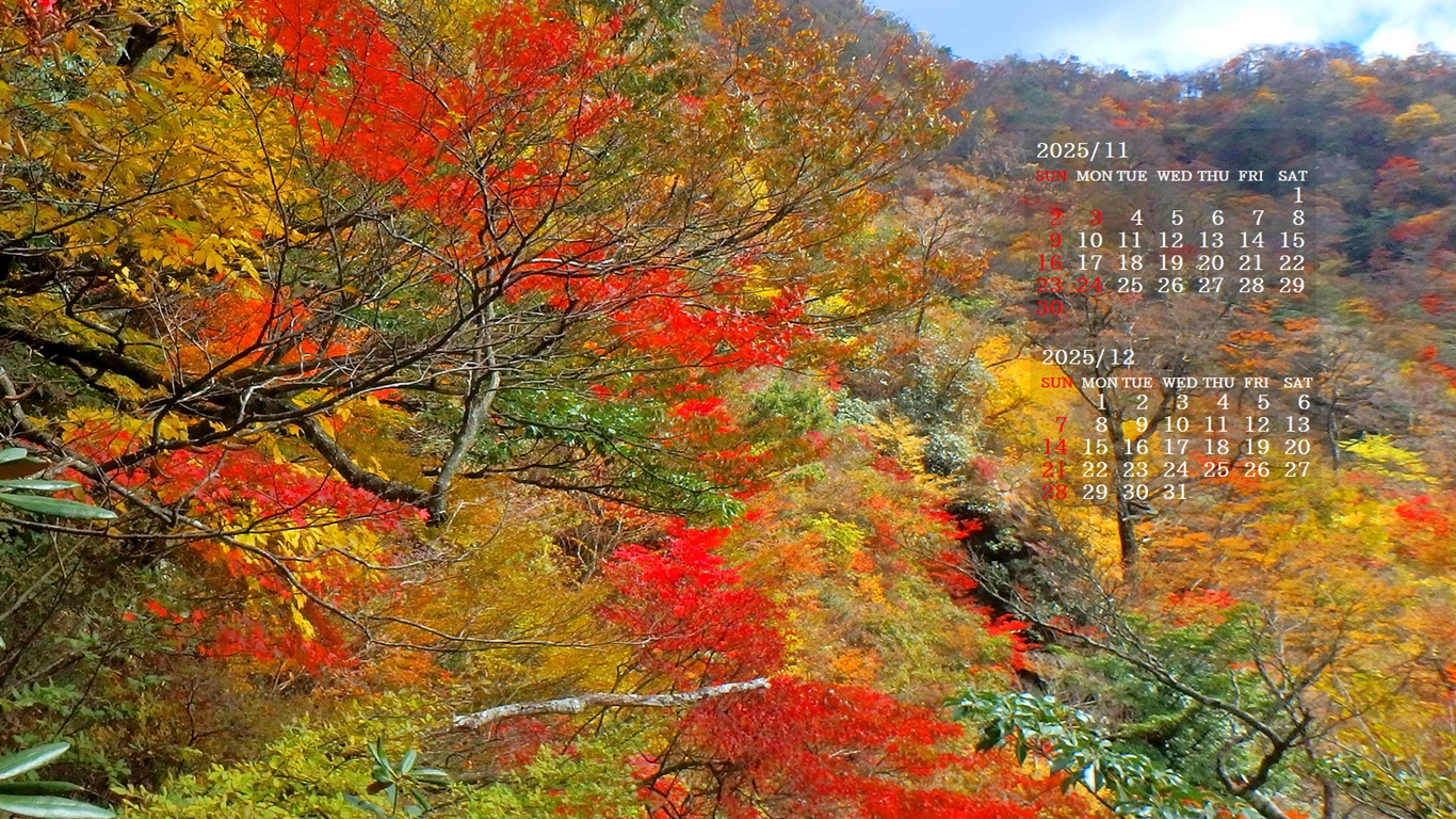 摜̏ŉENbNāuǎɐݒvAj[ɂȂꍇ͂摜ۑĉB