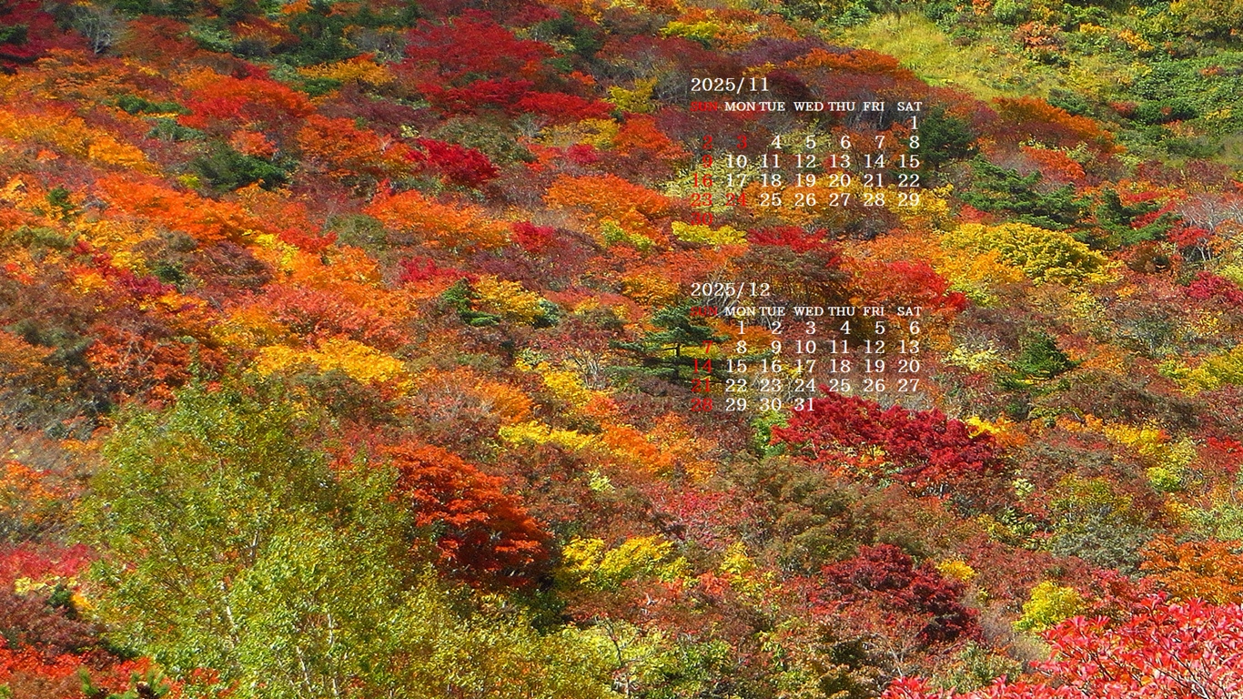 摜̏ŉENbNāuǎɐݒvAj[ɂȂꍇ͂摜ۑĉB