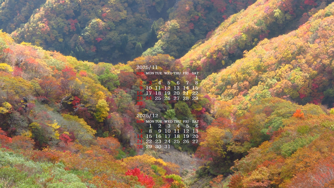 摜̏ŉENbNāuǎɐݒvAj[ɂȂꍇ͂摜ۑĉB