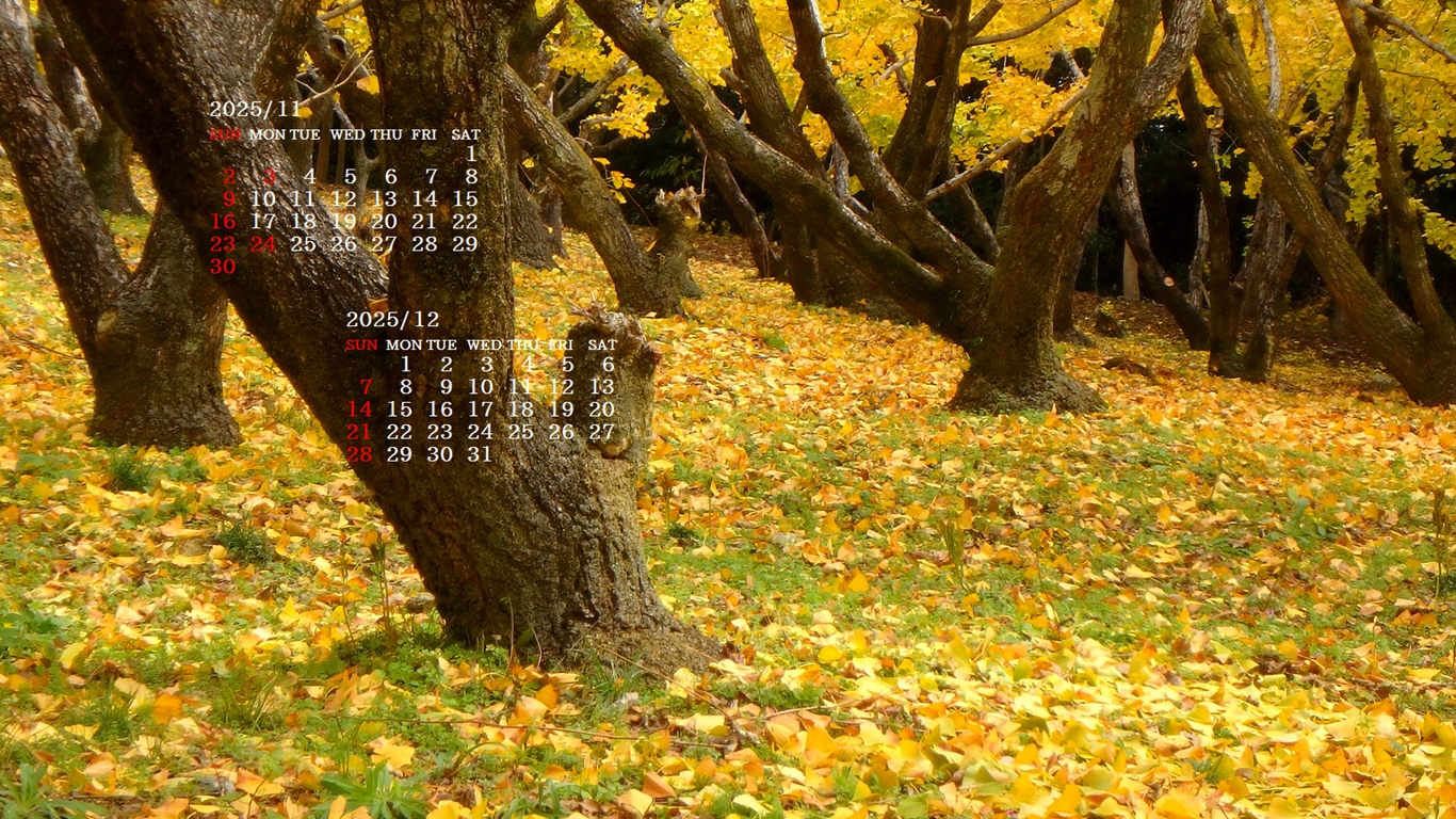 摜̏ŉENbNāuǎɐݒvAj[ɂȂꍇ͂摜ۑĉB