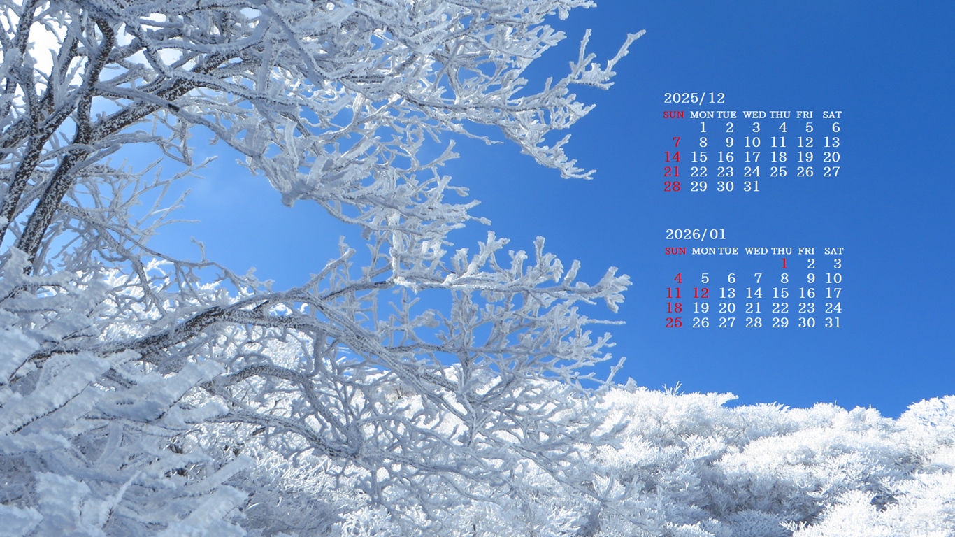 �摜�̏�ŉE�N���b�N���āu�ǎ��ɐݒ�v�A���j���[�ɂȂ��ꍇ�͂�������摜��ۑ����ĉ������B