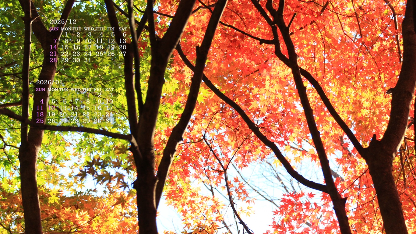 �摜�̏�ŉE�N���b�N���āu�ǎ��ɐݒ�v�A���j���[�ɂȂ��ꍇ�͂�������摜��ۑ����ĉ������B