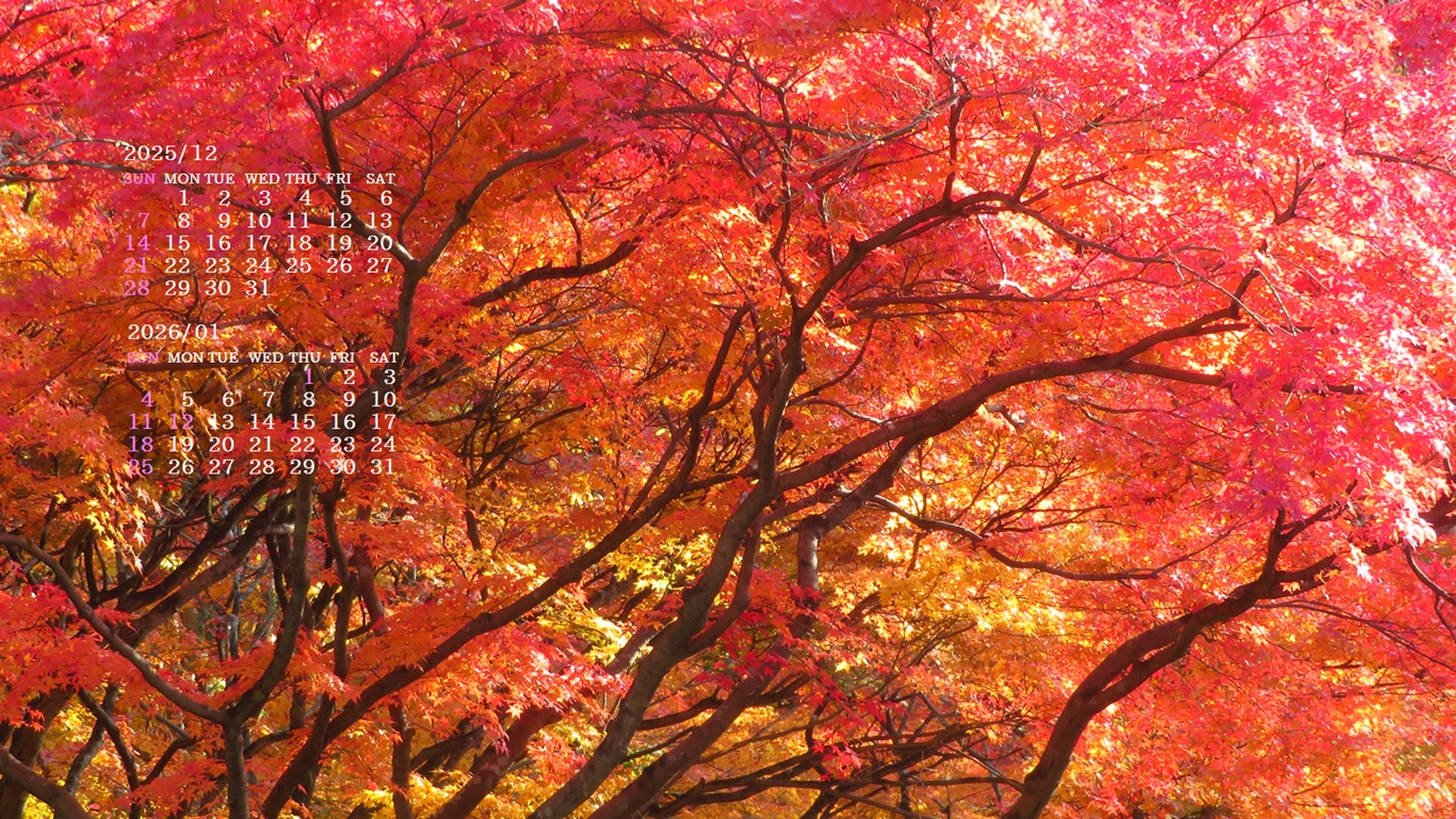 �摜�̏�ŉE�N���b�N���āu�ǎ��ɐݒ�v�A���j���[�ɂȂ��ꍇ�͂�������摜��ۑ����ĉ������B