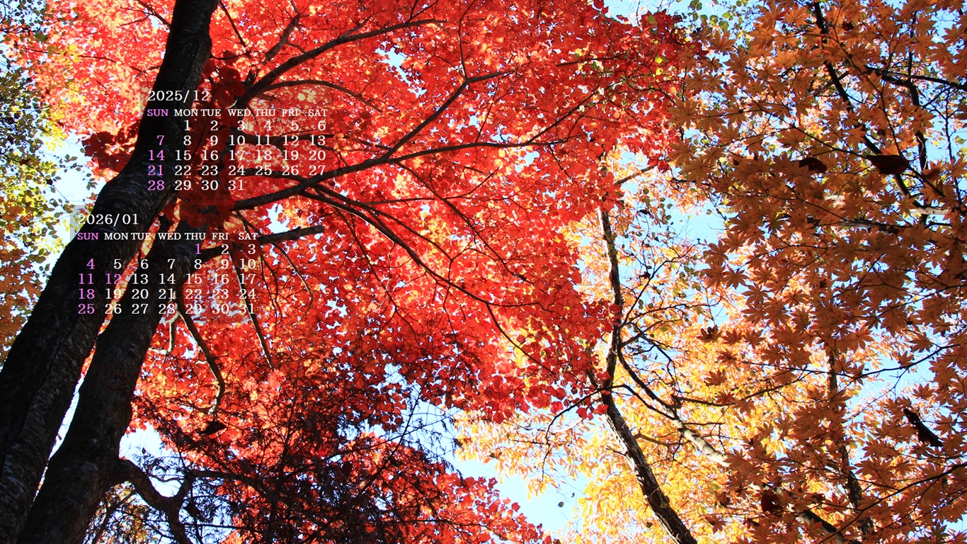 �摜�̏�ŉE�N���b�N���āu�ǎ��ɐݒ�v�A���j���[�ɂȂ��ꍇ�͂�������摜��ۑ����ĉ������B