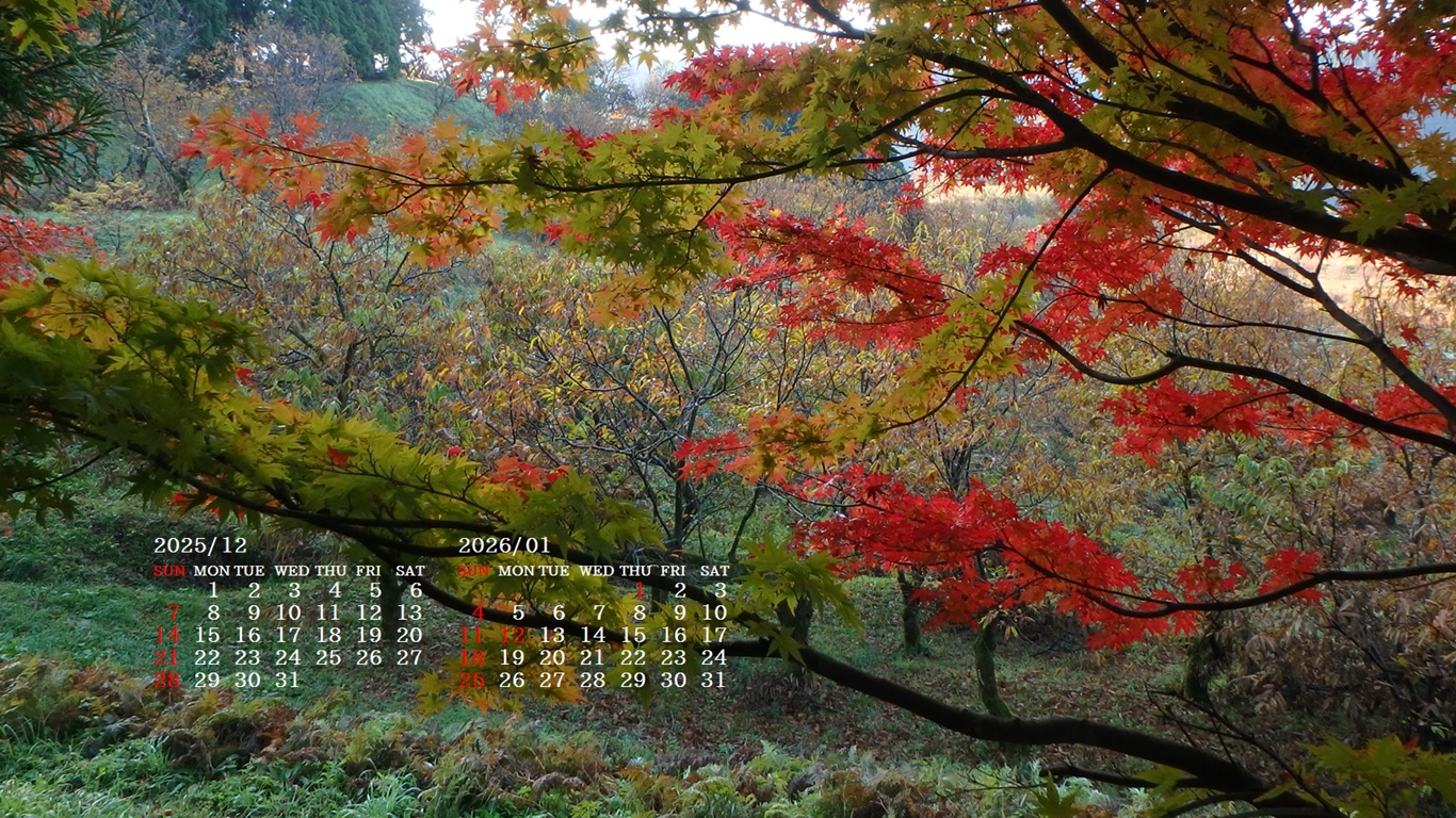 �摜�̏�ŉE�N���b�N���āu�ǎ��ɐݒ�v�A���j���[�ɂȂ��ꍇ�͂�������摜��ۑ����ĉ������B