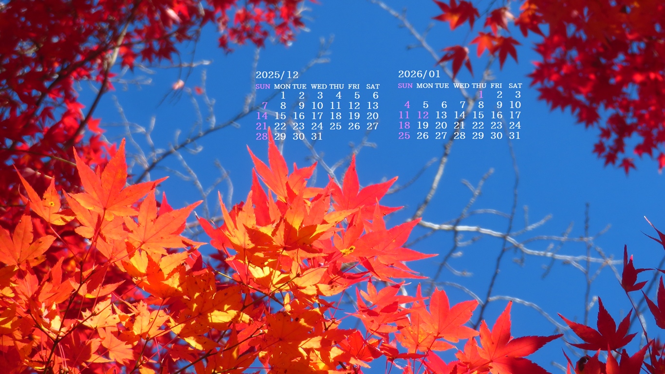 �摜�̏�ŉE�N���b�N���āu�ǎ��ɐݒ�v�A���j���[�ɂȂ��ꍇ�͂�������摜��ۑ����ĉ������B