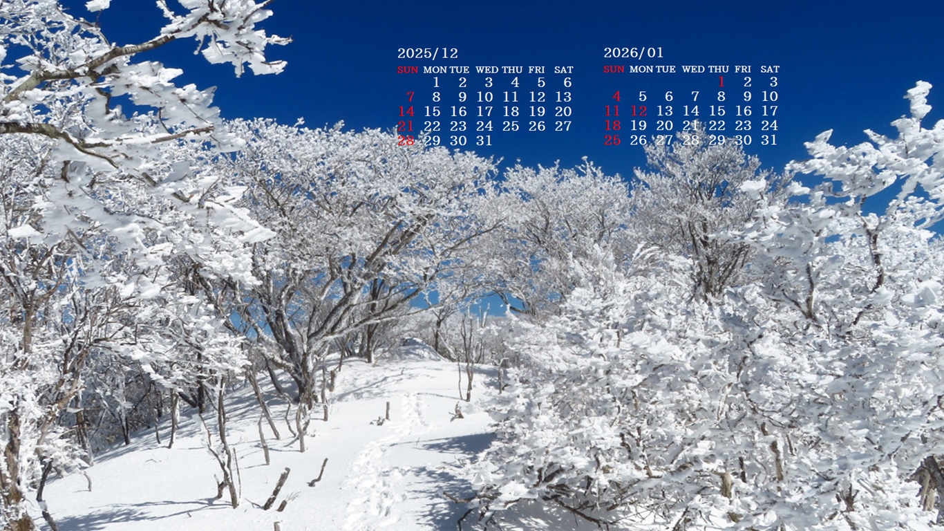 �摜�̏�ŉE�N���b�N���āu�ǎ��ɐݒ�v�A���j���[�ɂȂ��ꍇ�͂�������摜��ۑ����ĉ������B