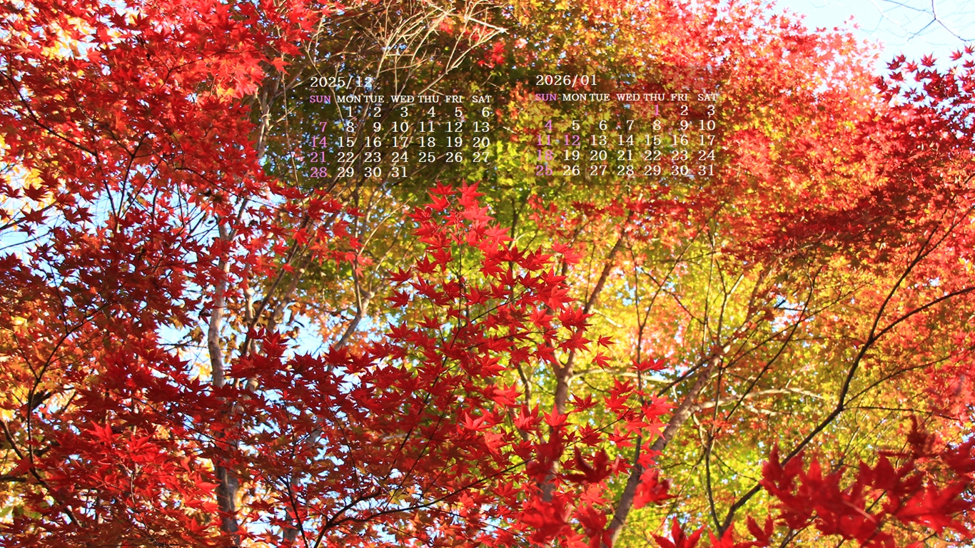 �摜�̏�ŉE�N���b�N���āu�ǎ��ɐݒ�v�A���j���[�ɂȂ��ꍇ�͂�������摜��ۑ����ĉ������B