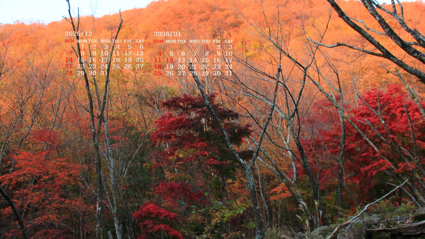 �摜�̏�ŉE�N���b�N���āu�ǎ��ɐݒ�v�A���j���[�ɂȂ��ꍇ�͂�������摜��ۑ����ĉ������B