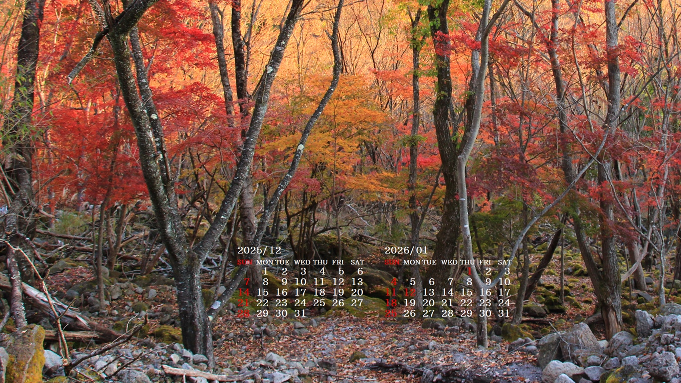 �摜�̏�ŉE�N���b�N���āu�ǎ��ɐݒ�v�A���j���[�ɂȂ��ꍇ�͂�������摜��ۑ����ĉ������B