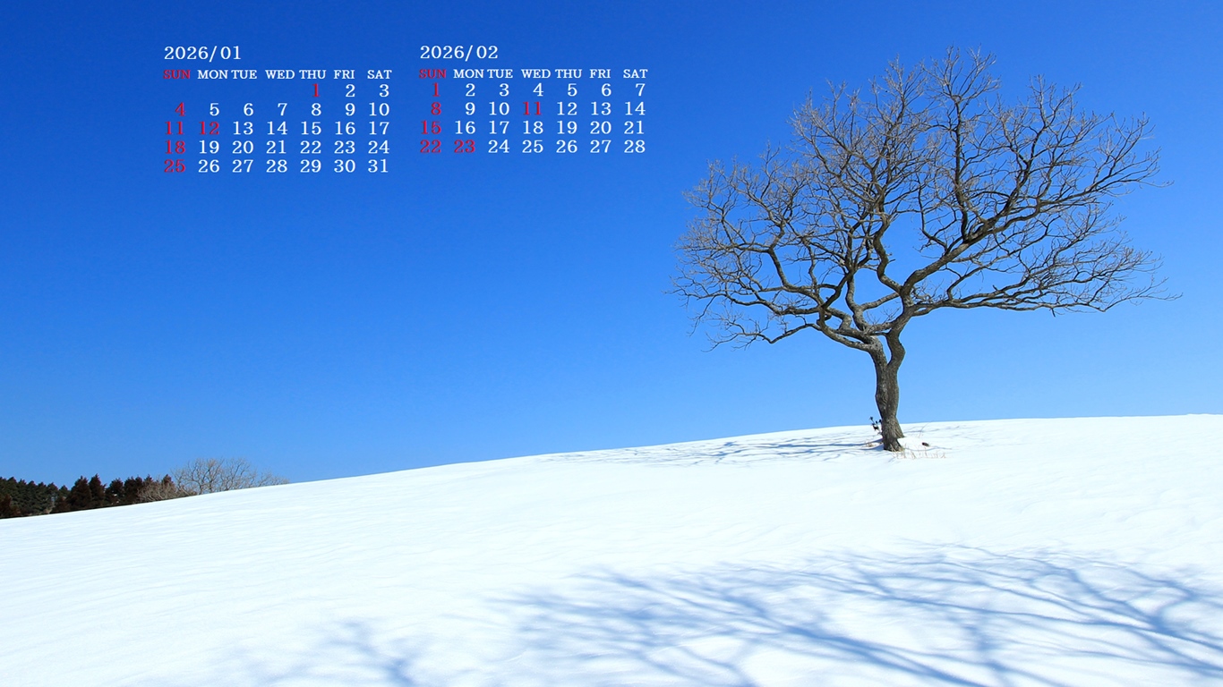 �摜�̏�ŉE�N���b�N���āu�ǎ��ɐݒ�v�A���j���[�ɂȂ��ꍇ�͂�������摜��ۑ����ĉ������B